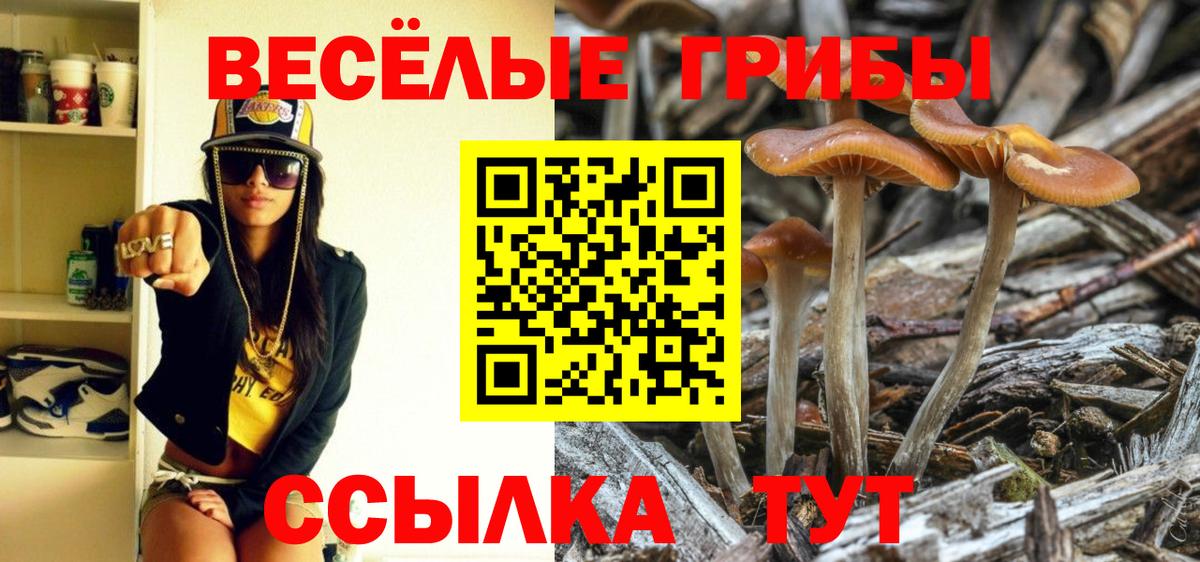 Надым  Галлюциногенные грибы Magic Shrooms  Вход с VPN 