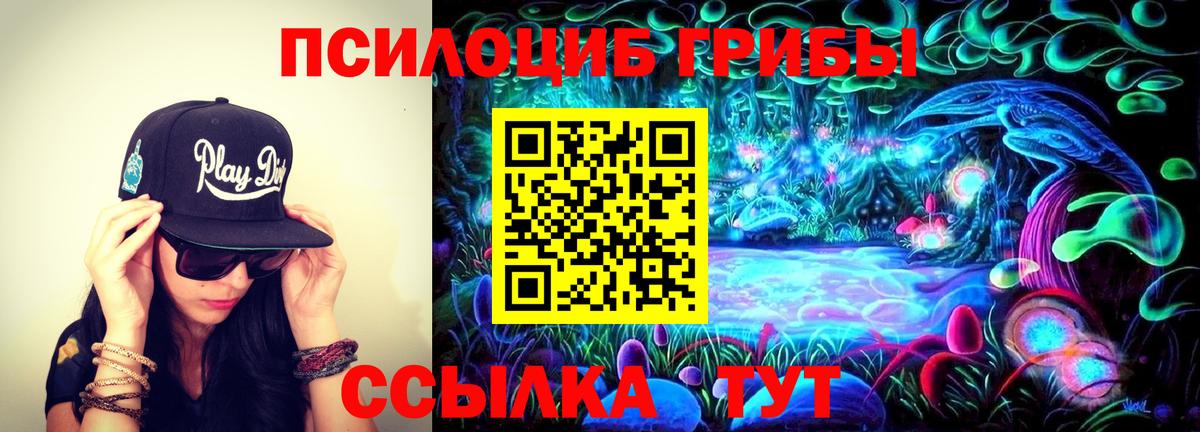 Псилоцибиновые грибы прущие грибы Надым